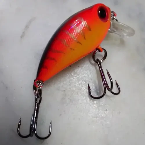 Fishing Lure